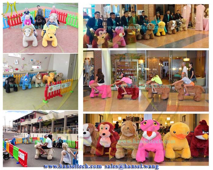 009 motorized animal rides all over the world.jpg