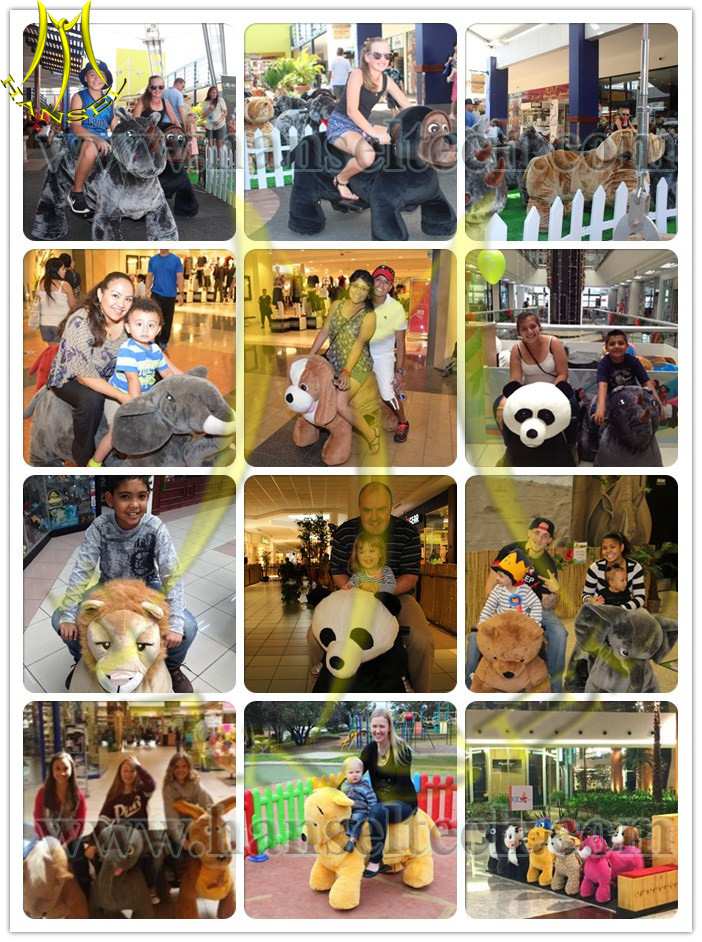 012 animals all over the world.jpg