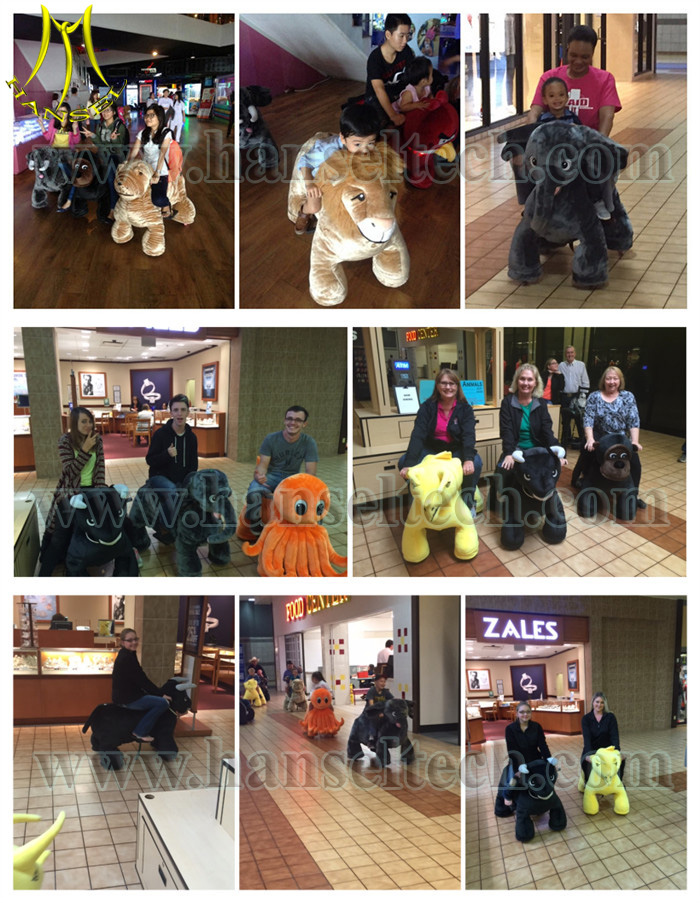 012 Motorized animals all over the world.jpg
