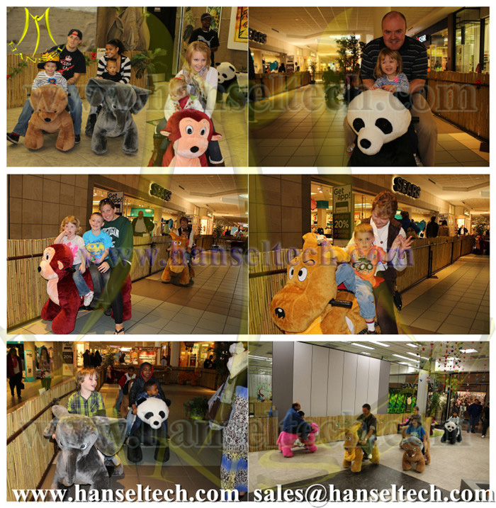 011 animal rides in USA.jpg